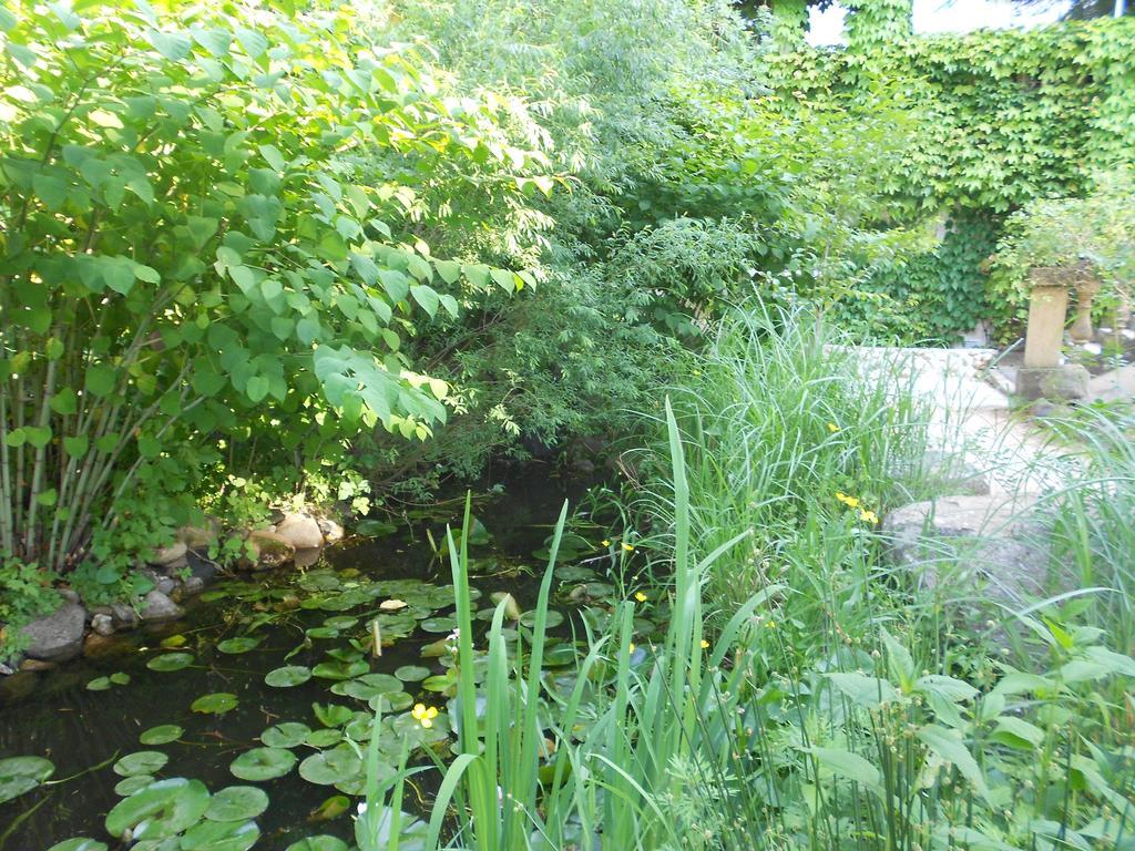 Apart'Hotel Les 4 Sources Corbés Екстериор снимка